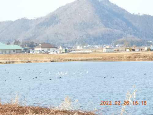DSCN0036.JPG