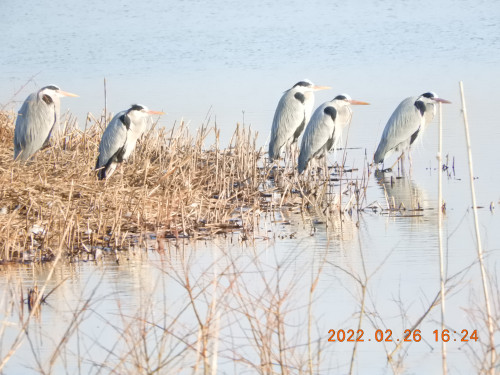 DSCN0045.JPG