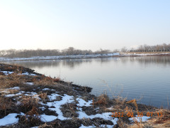 DSCN9917.JPG