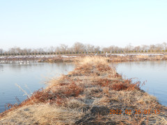 DSCN9918.JPG