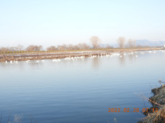 DSCN9919.JPG