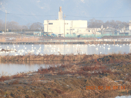 DSCN9916.JPG