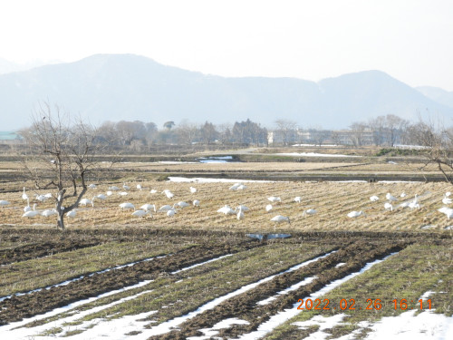 DSCN0032.JPG