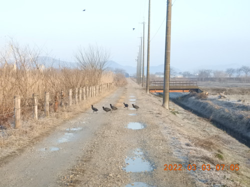 DSCN2640.JPG
