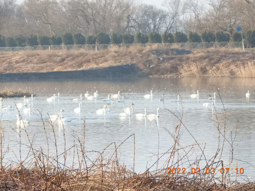 DSCN2641.JPG