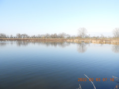 DSCN2645.JPG
