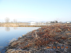 DSCN2646.JPG