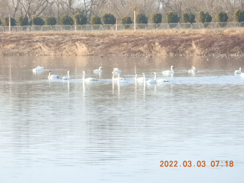 DSCN2647.JPG