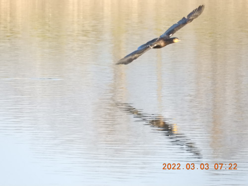DSCN2648.JPG