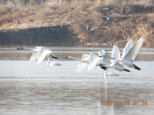 DSCN2669.JPG