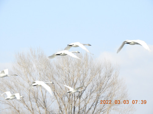 DSCN2679.JPG
