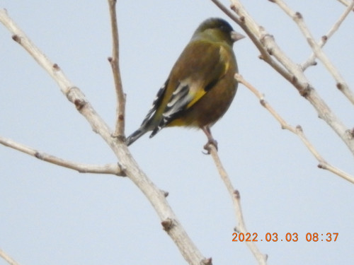 DSCN2771.JPG