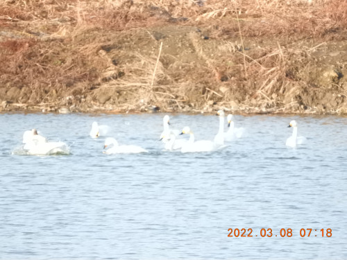 DSCN2792.JPG