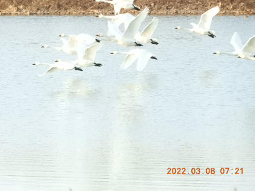 DSCN2803.JPG