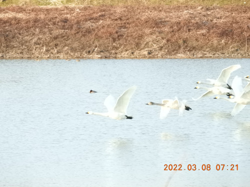 DSCN2802.JPG