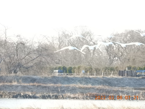 DSCN2806.JPG