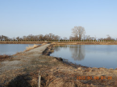 DSCN2810.JPG
