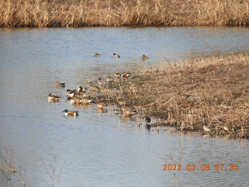 DSCN2813.JPG