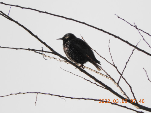 DSCN2817.JPG