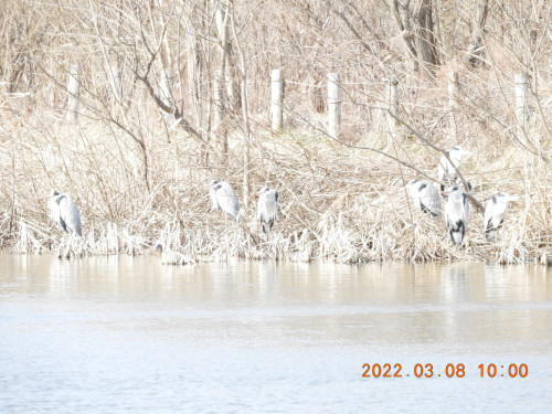 DSCN2835.JPG