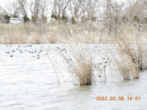 DSCN2836.JPG