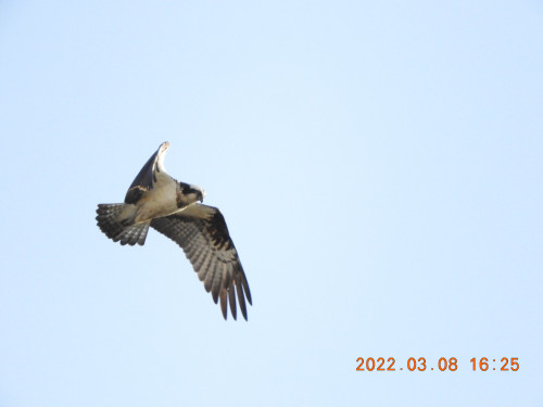 DSCN2876.JPG