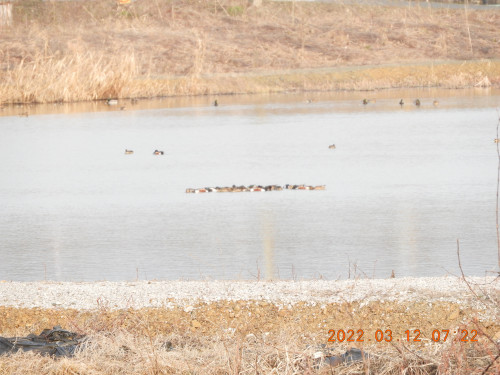 DSCN2967.JPG
