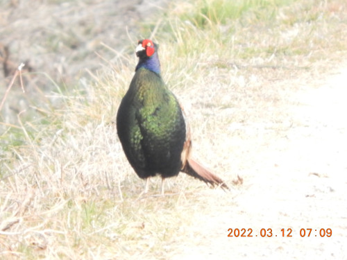 DSCN2940.JPG