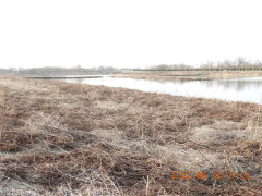 DSCN2964.JPG