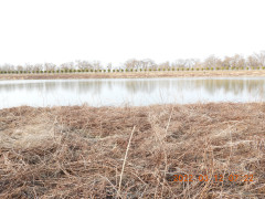 DSCN2965.JPG