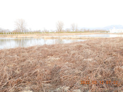 DSCN2966.JPG