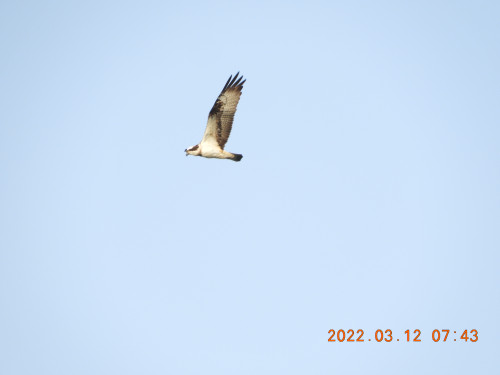 DSCN2977.JPG
