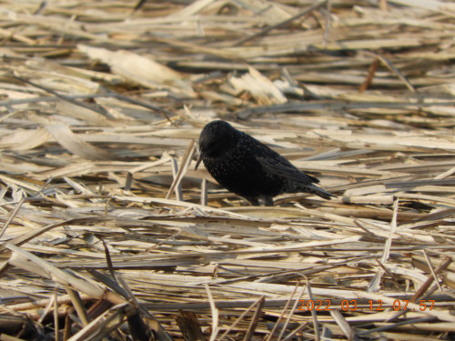 DSCN2981.JPG