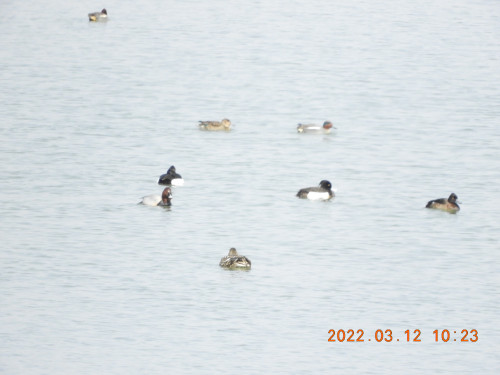 DSCN2996.JPG