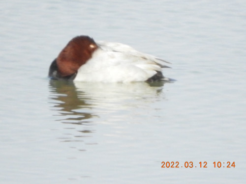 DSCN2998.JPG