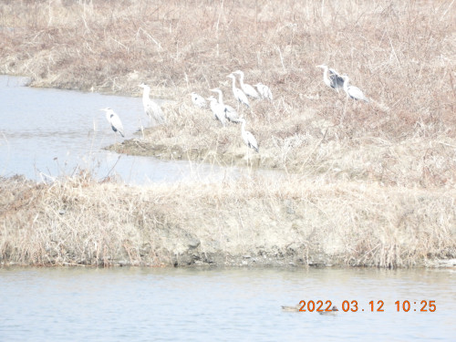 DSCN2999.JPG
