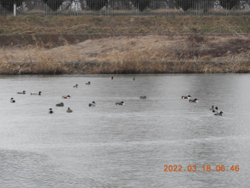 DSCN3050.JPG