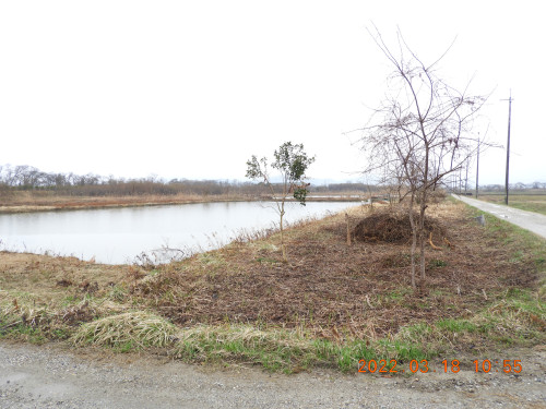 DSCN3083.JPG
