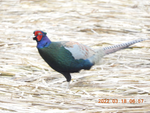DSCN3066.JPG