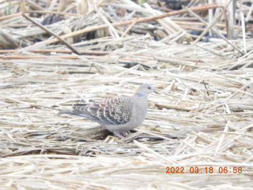 DSCN3069.JPG