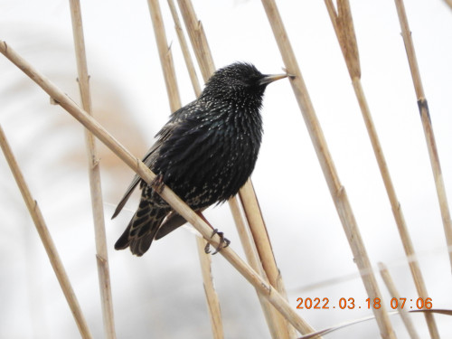 DSCN3078.JPG
