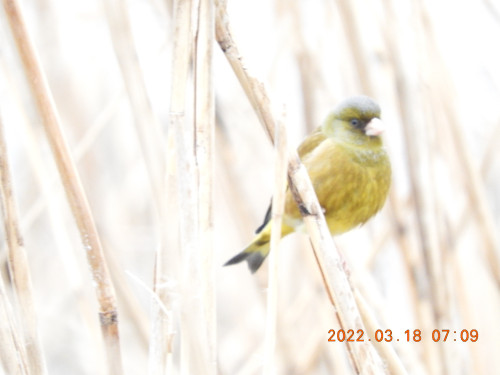 DSCN3080.JPG