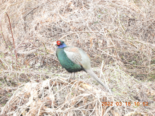 DSCN3082.JPG