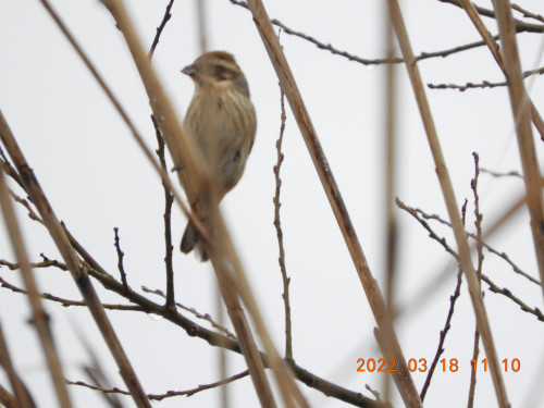DSCN3100.JPG