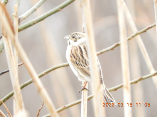 DSCN3095.JPG