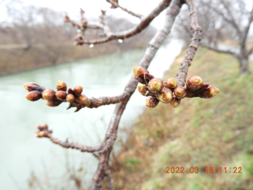DSCN3104.JPG