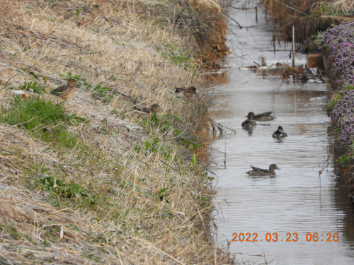 DSCN3129.JPG