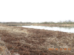 DSCN3139.JPG