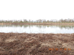 DSCN3140.JPG