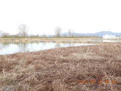 DSCN3141.JPG